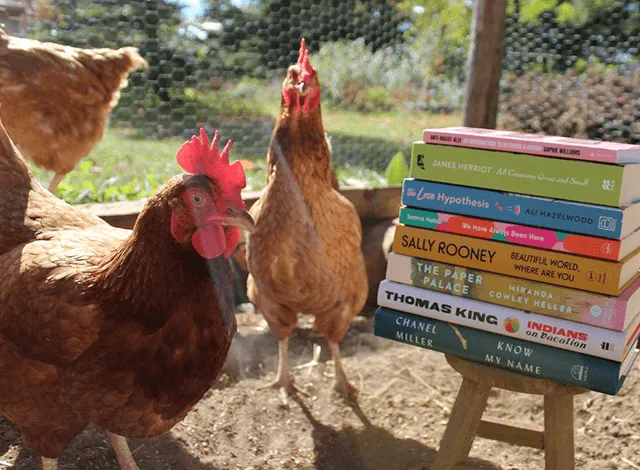 secondhand-stories Chickens with Books