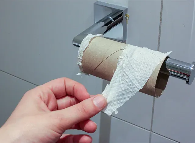 Empty toilet paper roll.