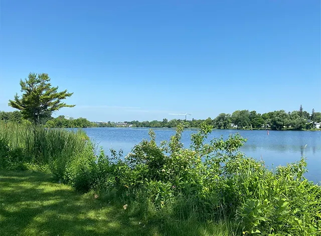 Lower Reach Park water front.