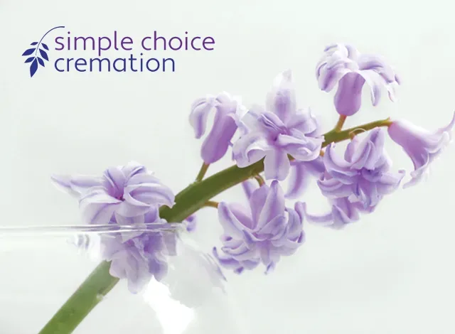 Simple Choice Cremation Ottawa