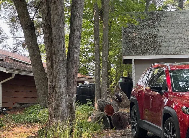 Cottage on Otter Lake