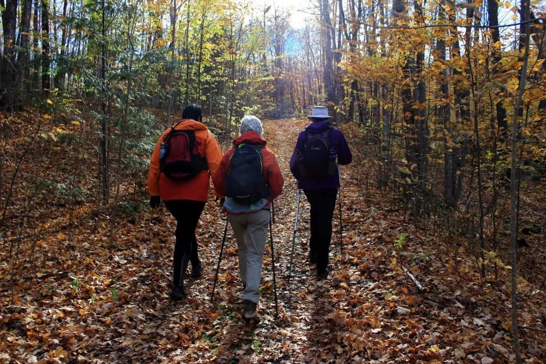 Hometown Happening mentions Fall Colours Walk, a Lanark event.