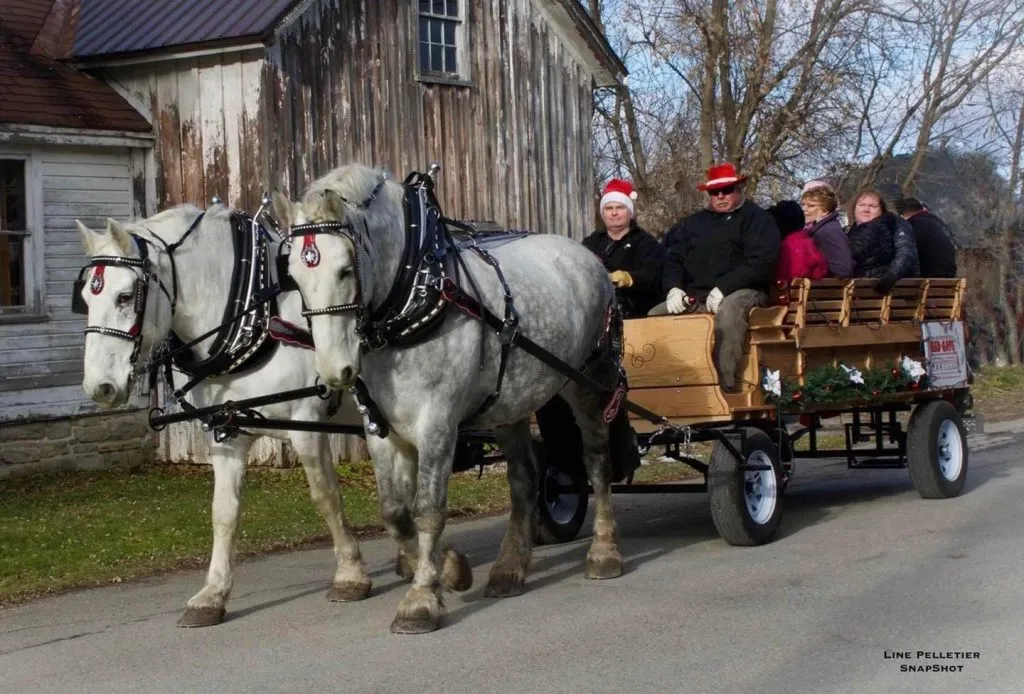 Hometown Happenings Christmas in Merrickville